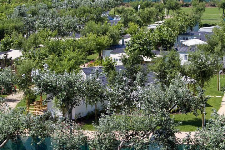 Camping Village Miramare photo 5