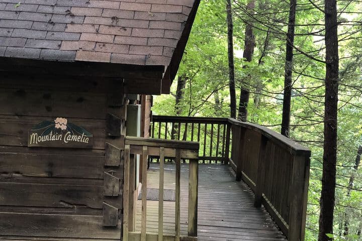Gatlinburg Adventure Cabins photo 3