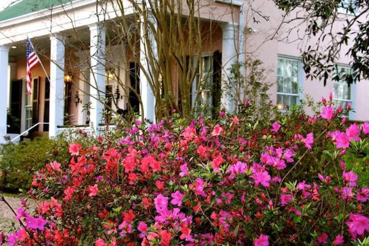 Sunnyside Bed & Breakfast photo 3