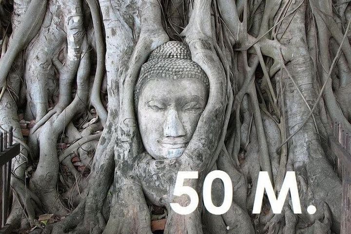 The Sixty at Ayutthaya photo 2