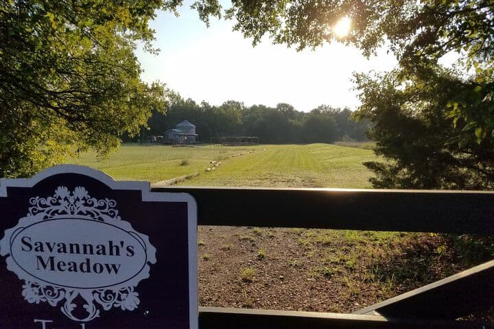Savannahs Meadow photo 3