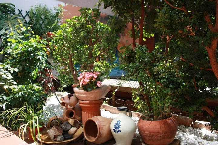B&B Domus Atilia photo 3