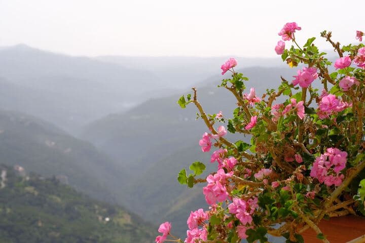 Hotel Wakim Self Catering photo 2