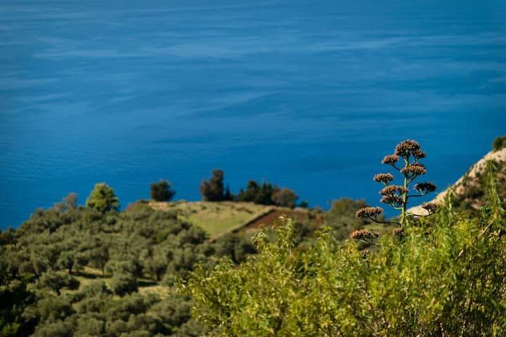 Yades Villas Lefkada photo 5