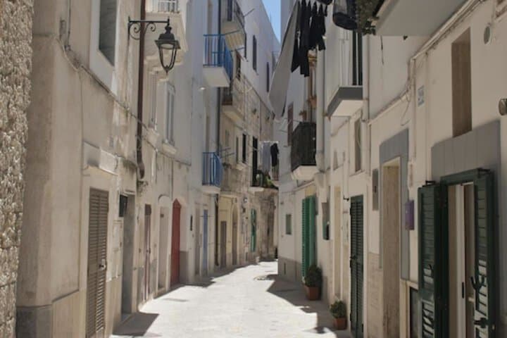 Santa Maria 24 Luxury Apartments photo 3