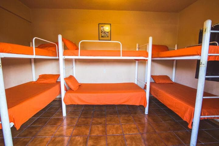 Oasis Hostel photo 5