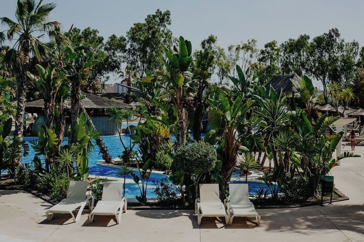 Alannia Guardamar Resort photo 5