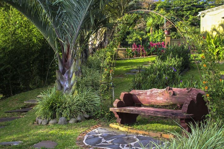 Casas del Toro Monteverde photo 3