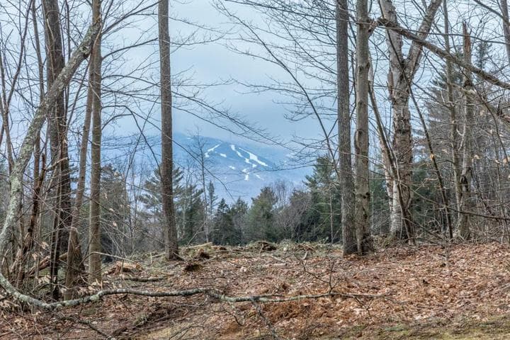 Mountainside at Stowe photo 5