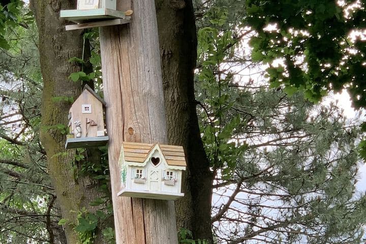 Green Oaks Bed&Breakfast photo 3