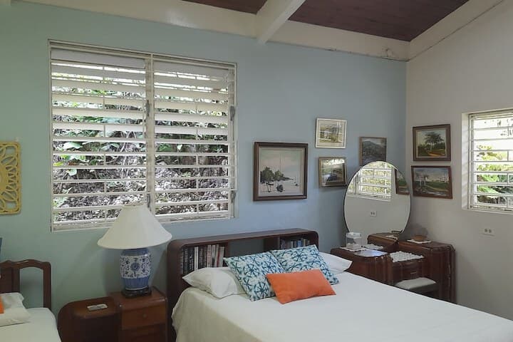 Neitas Nest Jamaican Bed & Breakfast photo 5