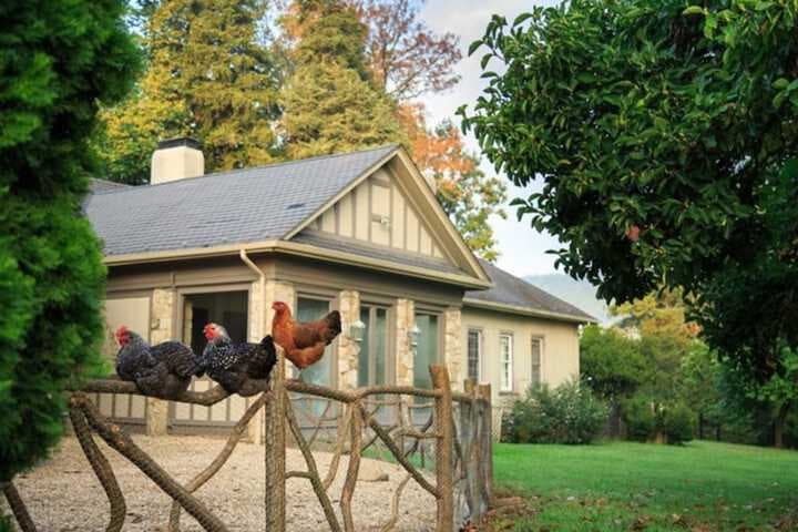 Glen Gordon Manor photo 3