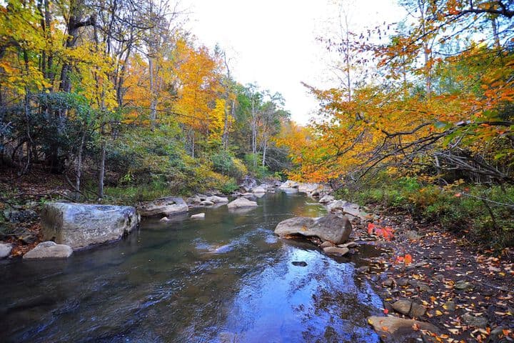 Abrams Creek Center photo 4