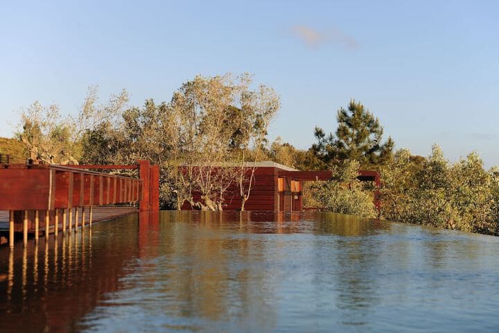 Eco Suites Resort photo 4