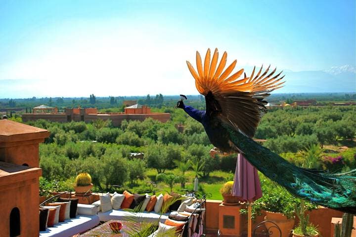 Heddad destination view