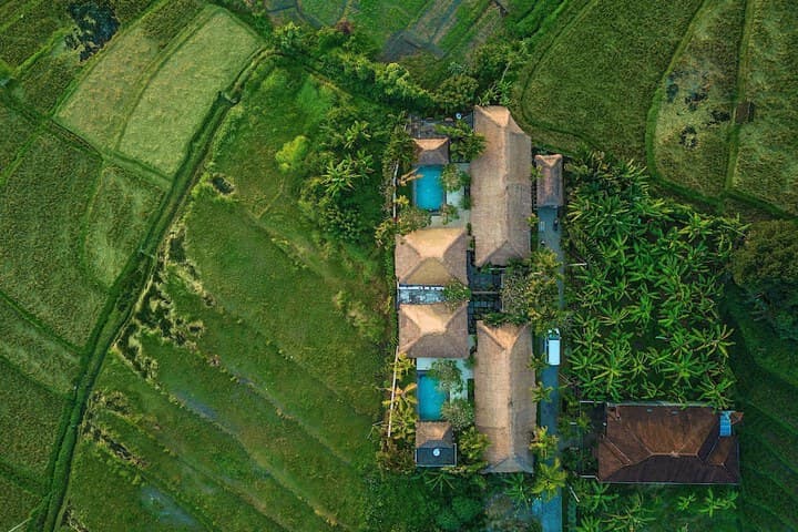 The Zala Villa photo 2