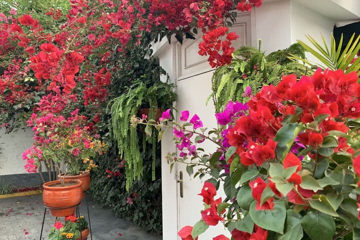 Casa Bella Boutique Hotel San Isidro photo 3