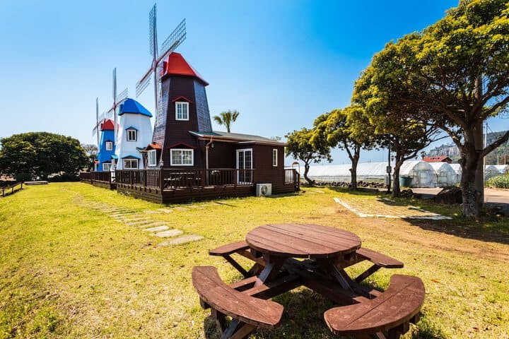 Olleh Windmill Pension & Guesthouse Hostel photo 3