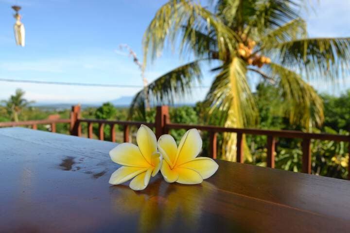 Menjangan Sari photo 5