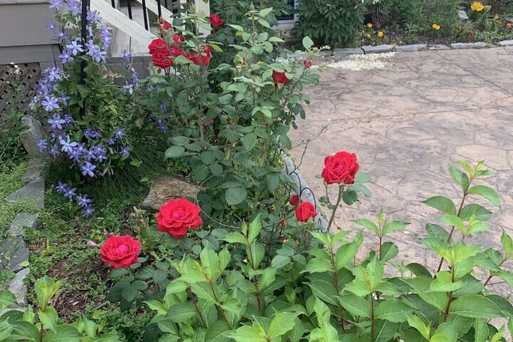 Green Oaks Bed&Breakfast photo 4