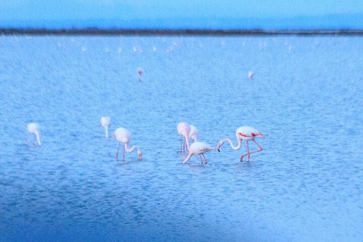 Les rives du lac photo 4