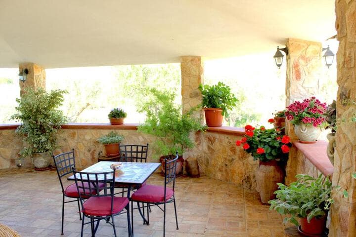 Casale Orioles photo 2