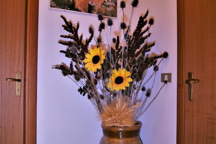Bed & Breakfast Oleaster photo 2
