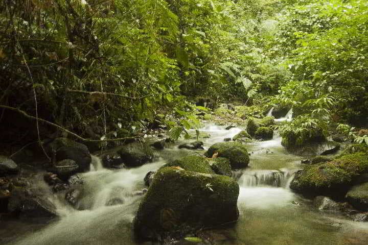GreenLagoon Wellbeing Resort photo 3