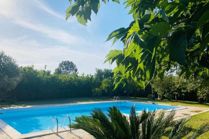 Villa Anita photo 2
