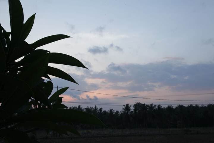 Kubu Soca Villa photo 2