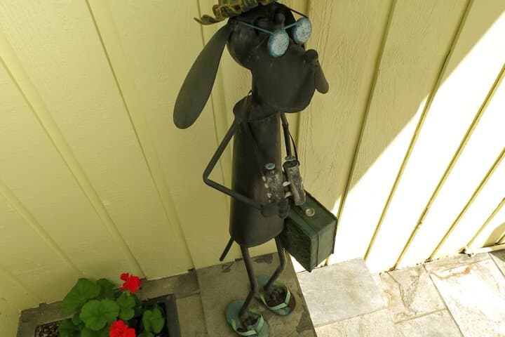 A View of the Lake Bed & Breakfast photo 5