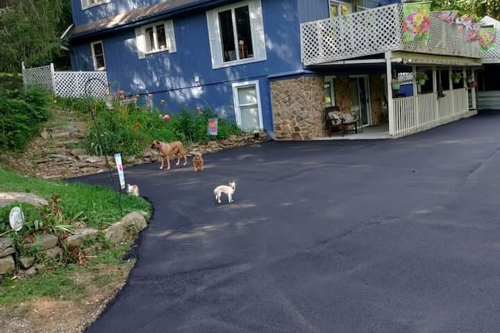 Lil Black Bear Inn photo 3