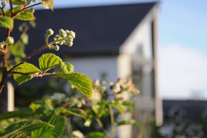 The Corran Serviced Accommodation photo 4