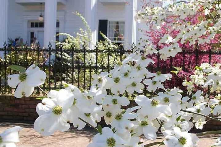 Shadowlawn Bed & Breakfast photo 3