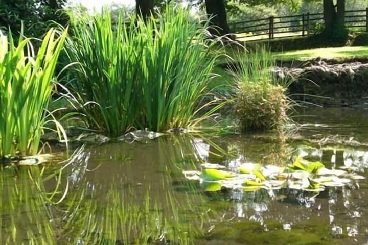 Hedgefield House Hotel photo 4