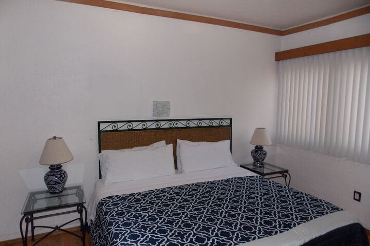 Steinhaus Homero photo 5