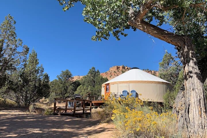 Escalante Yurts photo 4