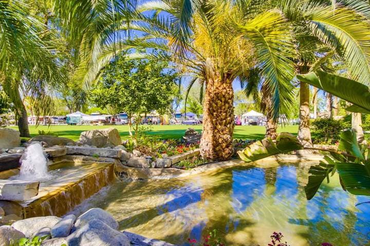 The Villas at Emerald Desert RV Resort photo 4