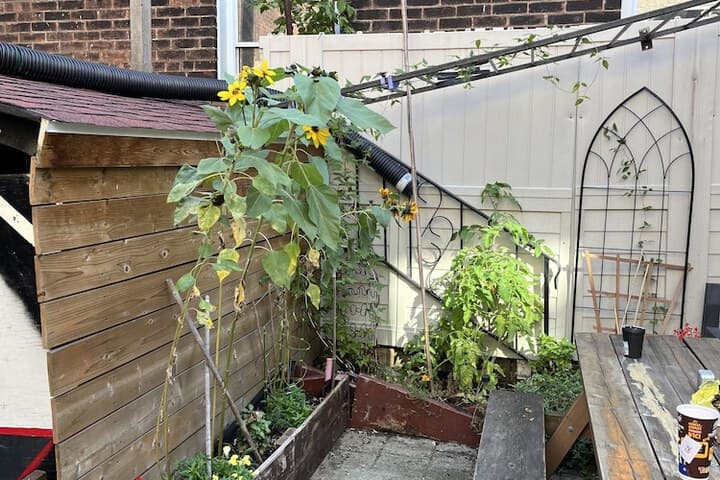 Pring Guesthouse Hostel photo 4