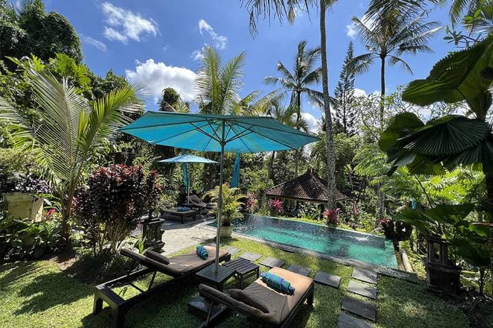 The Mahogany Villa photo 5