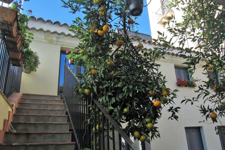 La Corte dei Limoni photo 4