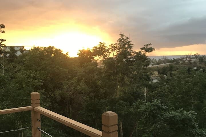 Mango Hill Retreat photo 4