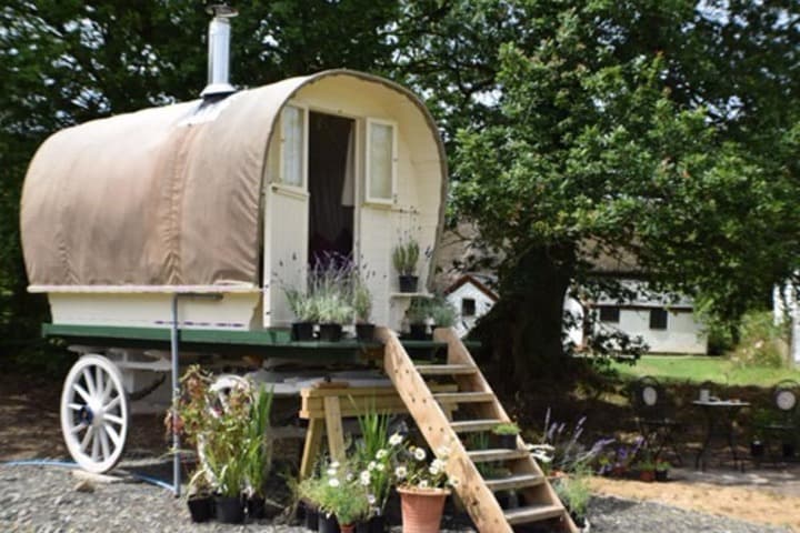 Hay Meadow Farm photo 2