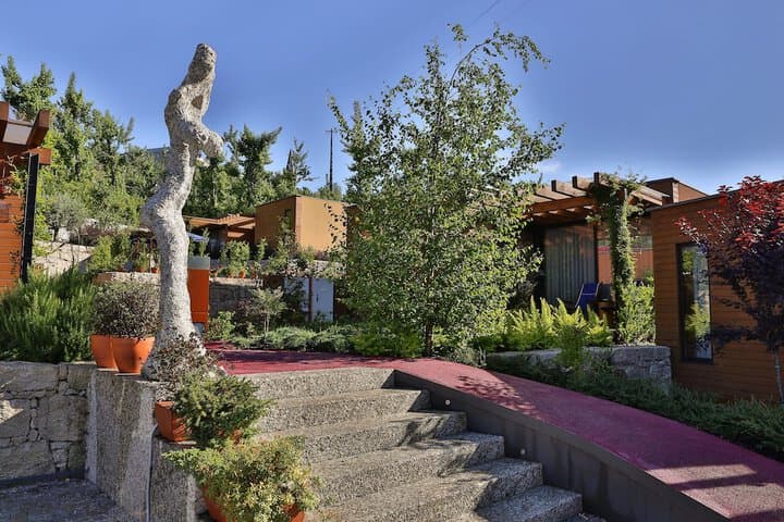 Vale de São Torcato Houses&Wine Bar photo 2