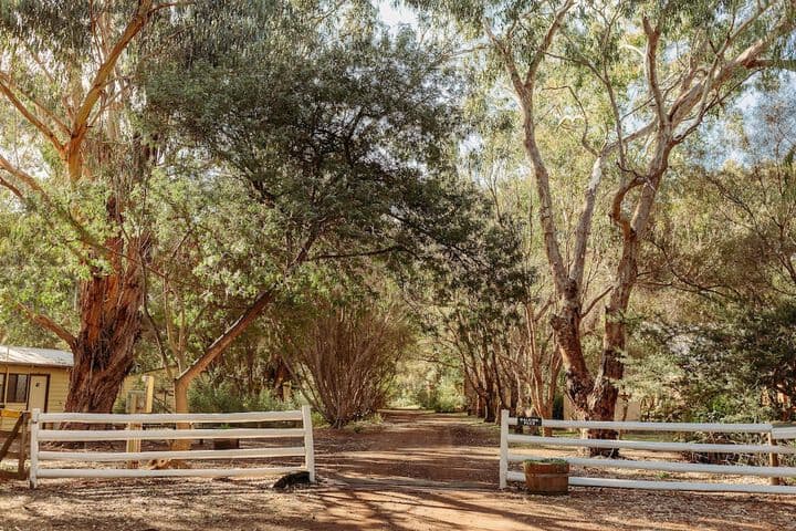Margaret River Holiday Cottages photo 4
