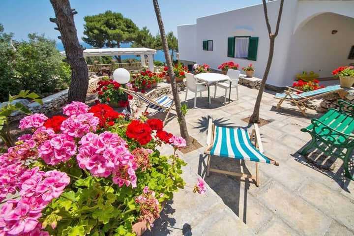 Villa Scarnera photo 4