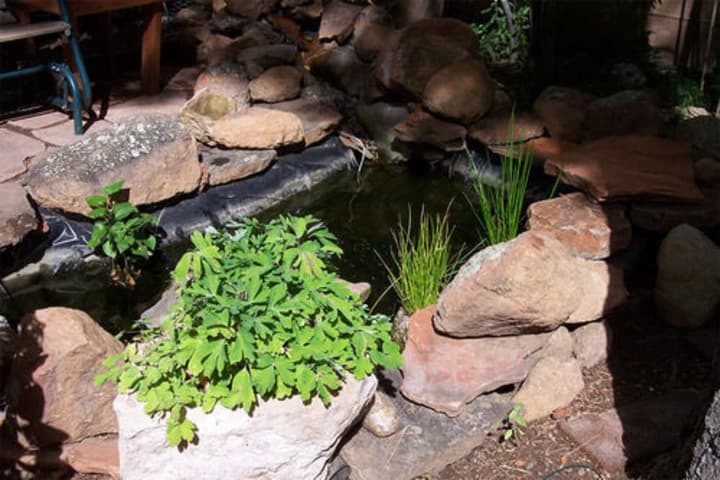 Elden Trails Bed&Breakfast photo 4