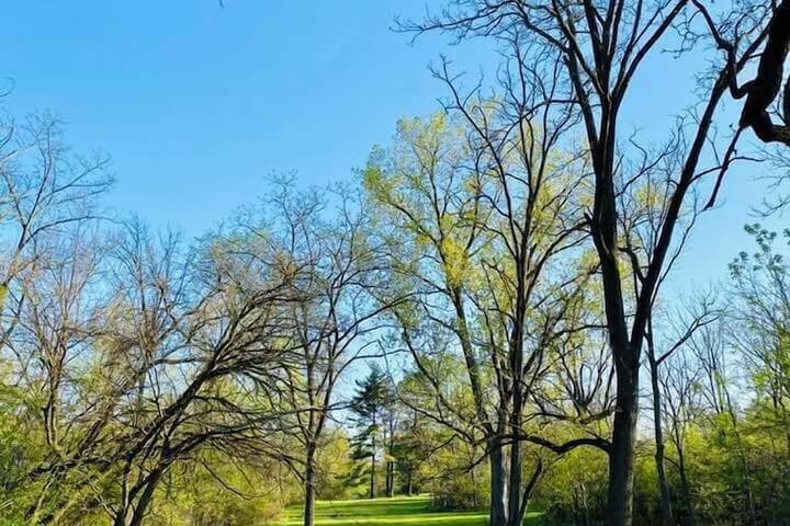 The Sanctuary on Huron River photo 3