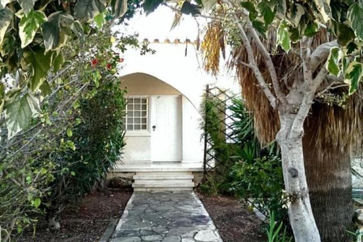 The Little House photo 4