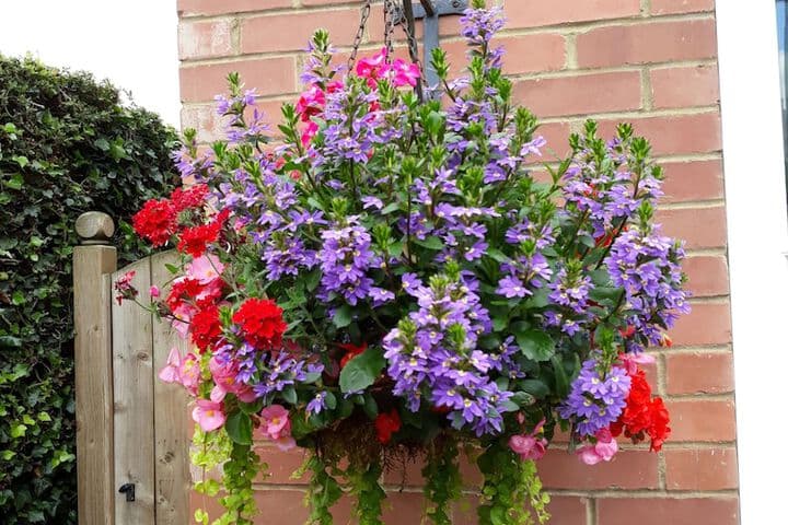 Banbury Cross B&B photo 3